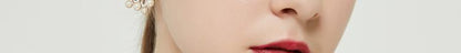 AOMIDIORレディーファッション高級感耳飾り 気質 精緻女性イヤリング EH0136